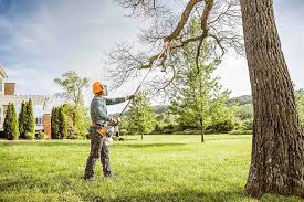 Best Commercial Tree Services  in Mont Belvieu, TX