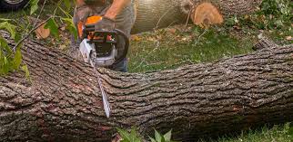 Landscape Design and Installation in Mont Belvieu, TX