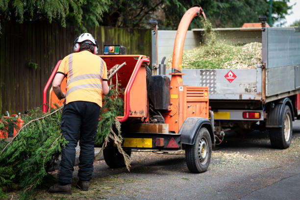 Lawn Drainage Solutions in Mont Belvieu, TX