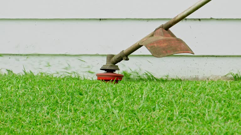 Lawn Maintenance Plans in Mont Belvieu, TX