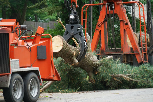 Best Lawn Watering Services  in Mont Belvieu, TX